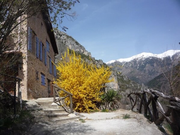Exterior