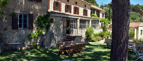 La terrasse  ombragée par le pin parasol