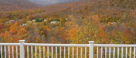 Incredible view from the back deck, sitting in the hot tub!!