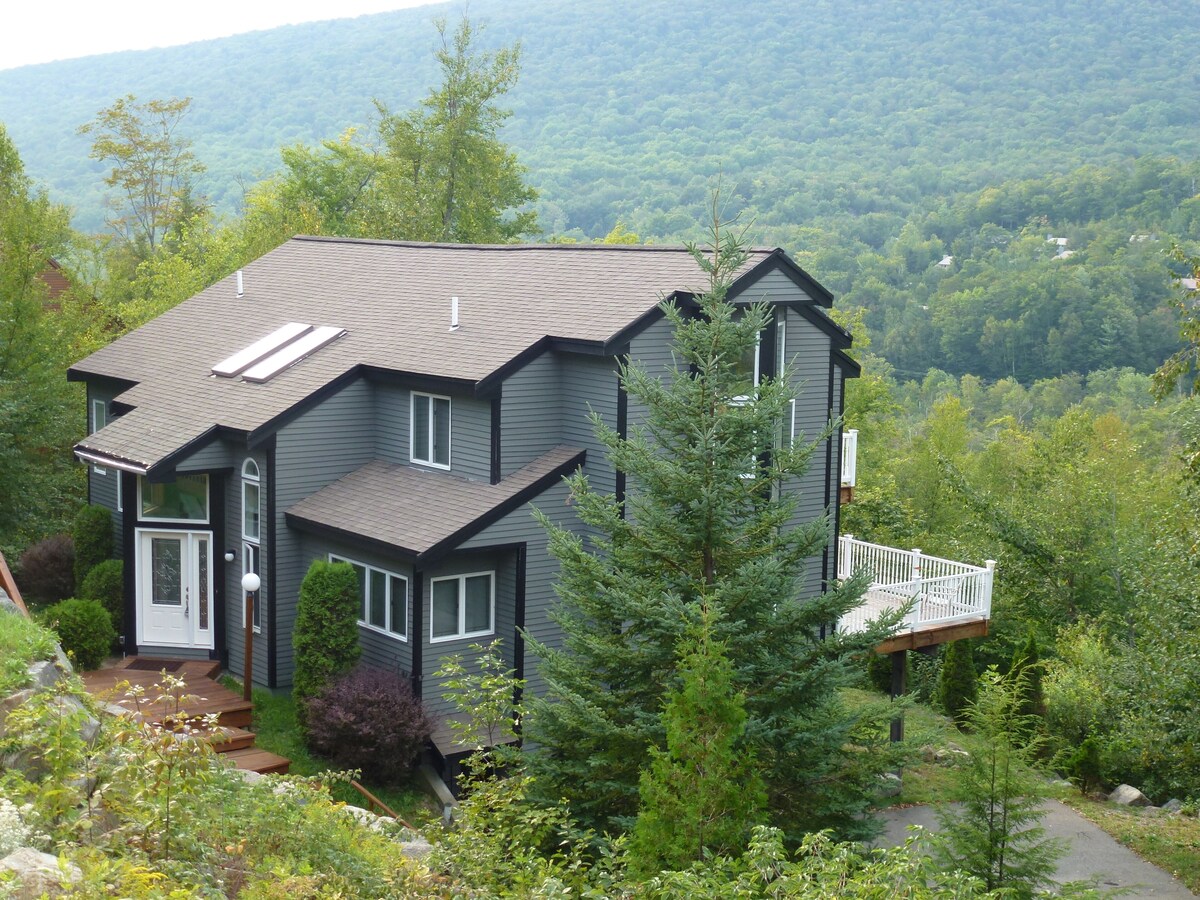 Main Image