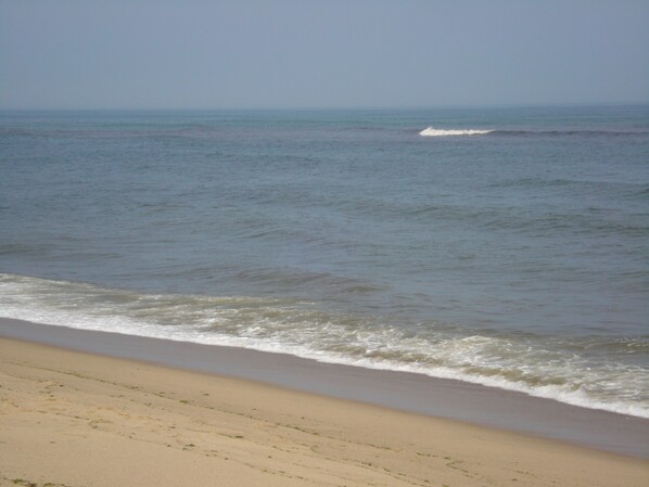 Atlantic ocean - 1 mile walk from the condo through the dunes