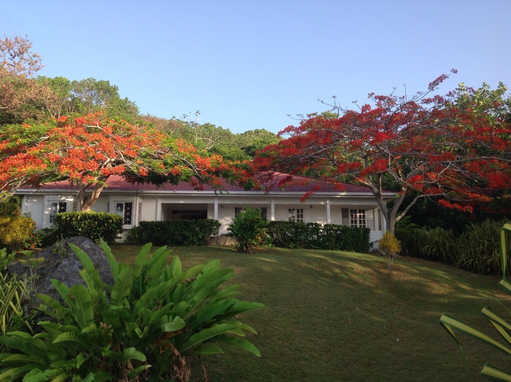 Picture of villa