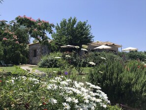 The summer gardens at Villa Pefnos.