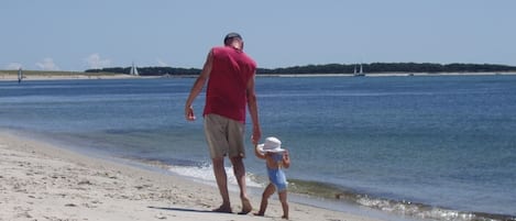 Our private beach on Nantucket Sound