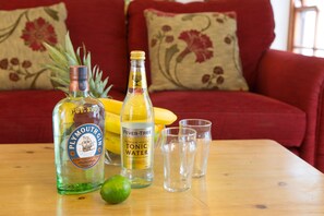 Rennie Apartment - enjoy some Plymouth Gin!