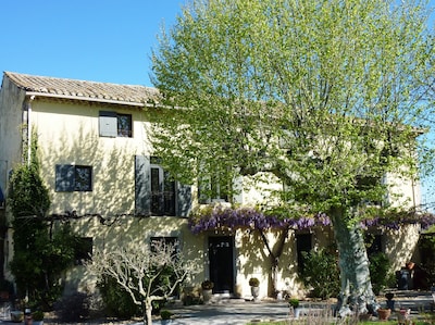 Außergewöhnliches Bauernhaus in einem gepflegten Park - qualitativ hochwertige Dienstleistungen - in der Nähe von Avignon