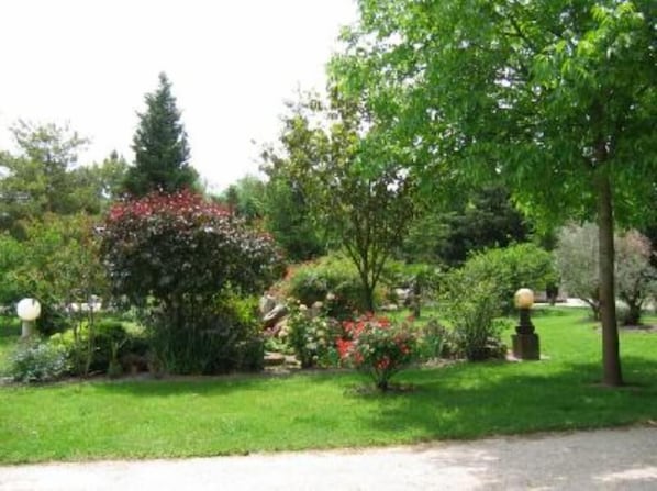 Garden, Park