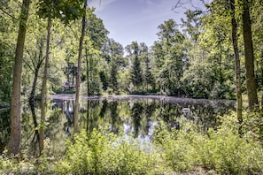 The pond at Heron Pointe