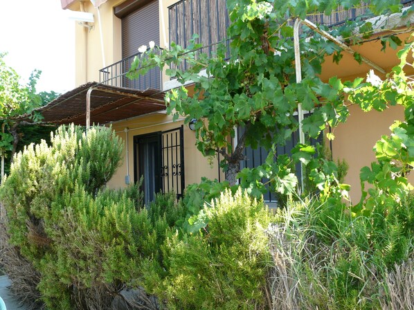 Exterior detail
