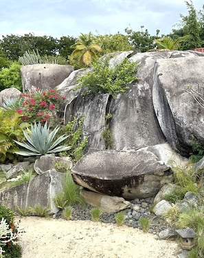 Did someone say "boulders?" This is the front yard from the entry bridge.