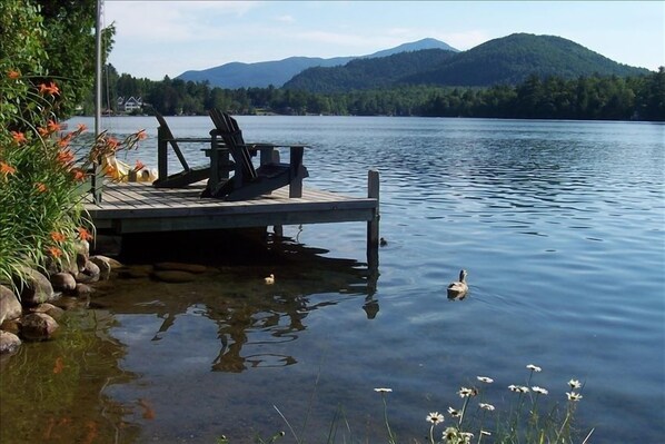 Summer time waterfront visitors....