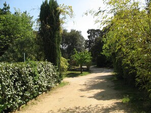 Jardines del alojamiento