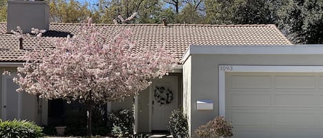 Front entrance and garage