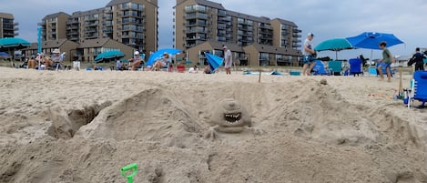 Sand Castle Contesr