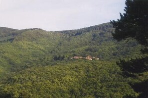 hameau de Bordevieille entre vallée du Jaur (350m) et plateau du Somail (900m)