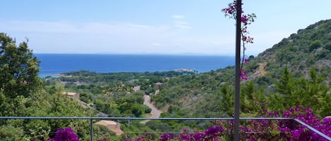 vue de la terrasse
