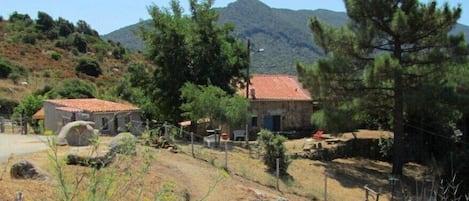 Mini-villa à gauche et de la maison des propriétaires à droites