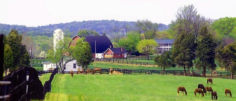 Farm Complex