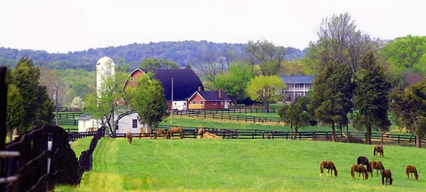 Farm Complex