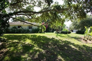 Lawn with Oak Groves