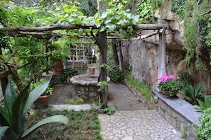 Natural water well, along the entrance path