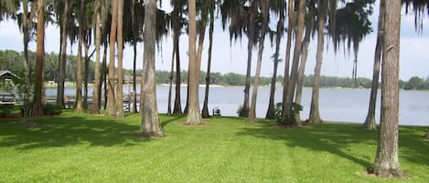 View from living/family room.