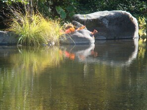 Big Chico Creek