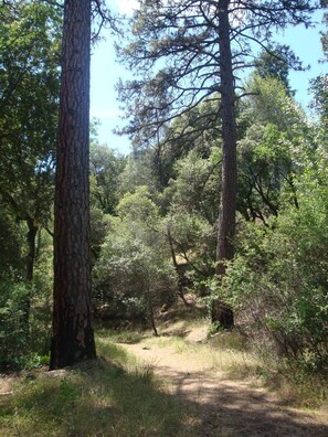 Hiking Trail