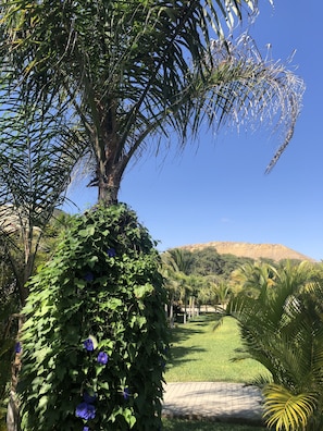 View looking back at private property from the home's entrance. 