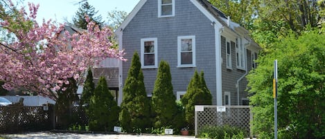 View of the building from Shank Painter Rd