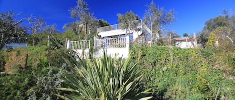Wohnhaus mit Terrasse und Dachterrasse