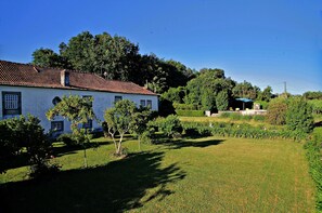 Jardim de trás e piscina.