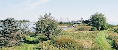 Panorama from the porch roof!