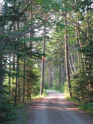 Point View Lane
