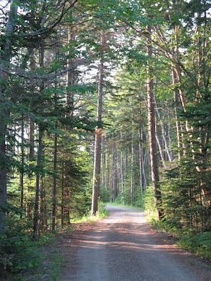 Point View Lane