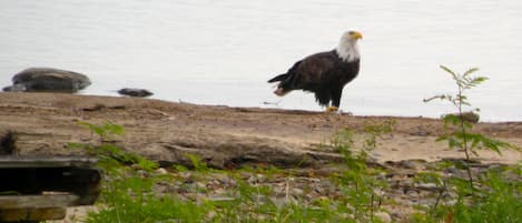 Beach sightings!