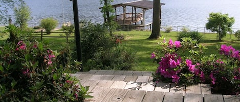 Springtime at The Lake House ...Azaleas and Dogwood Trees in bloom