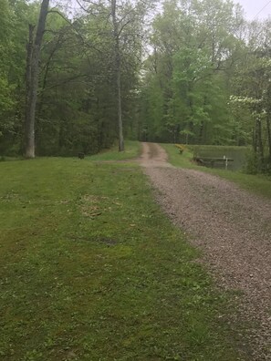 Cabin Driveway 