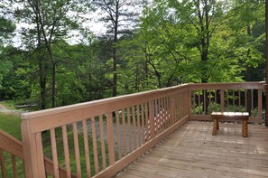 Cabin Deck View
