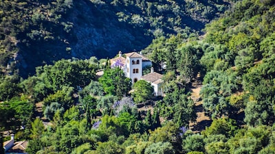 Casas Rurales Los Algarrobales- El Cortijo