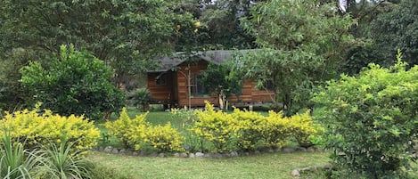 Front view of solar powered, off grid eco-cottage, surrounded by forest & garden