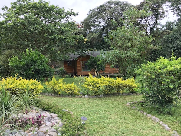 Front view of solar powered, off grid eco-cottage, surrounded by forest & garden