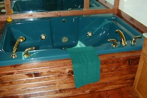 Jacuzzi Tub in the bathroom large enough for two