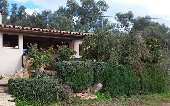 Exterior