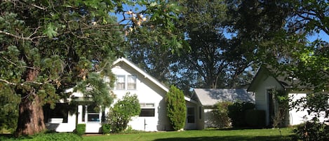 Craftsman house with large grassy yard