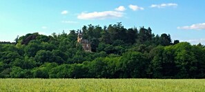 A Fairy Tale Castle tucked within 181 acres of Peace and Privacy