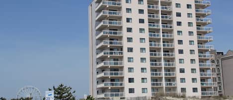 Building from the Beach