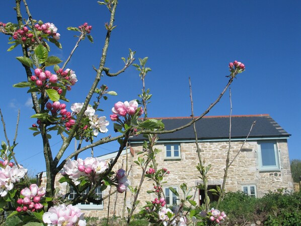 StoneGate Barn front view from Mowhay.