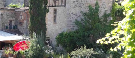 Main View of the House with the Cyprus tree in the garden.