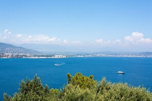 Panoramic view from the terrace